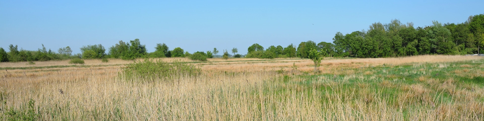 This is a picture of the protected area listed at WDPA under the ID