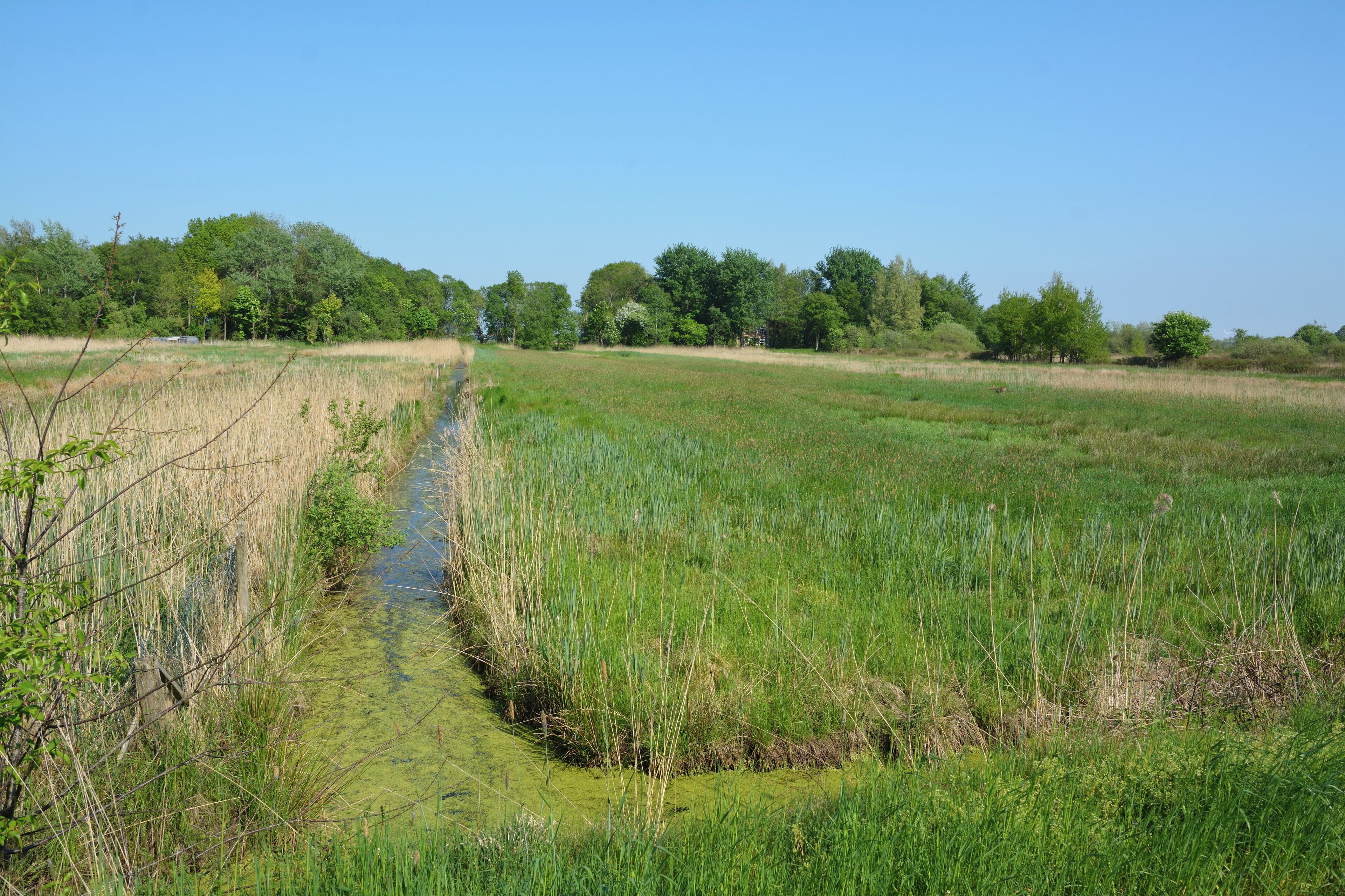 This is a picture of the protected area listed at WDPA under the ID