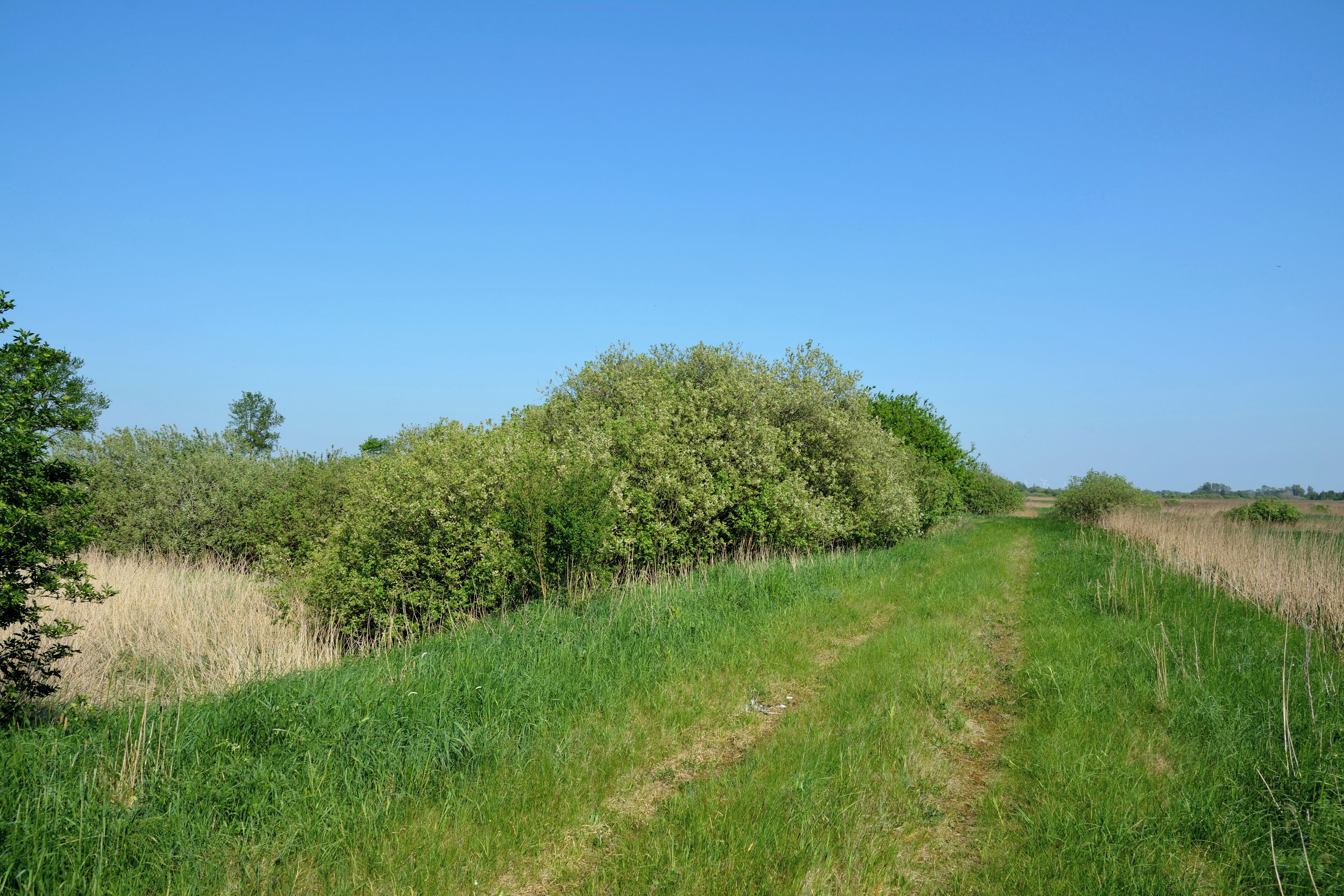 This is a picture of the protected area listed at WDPA under the ID