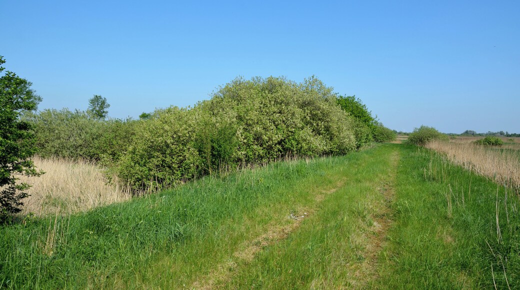 This is a picture of the protected area listed at WDPA under the ID