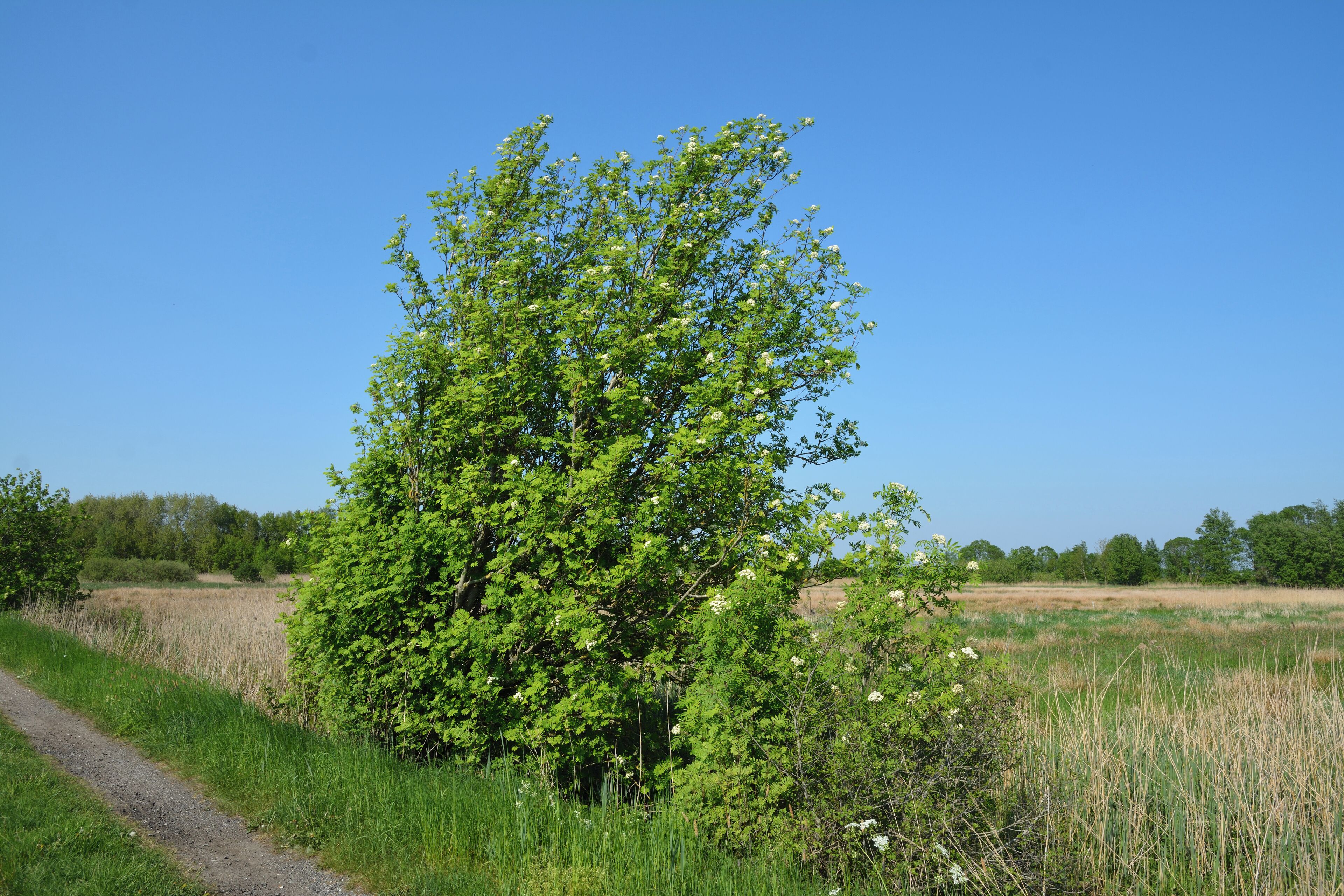 This is a picture of the protected area listed at WDPA under the ID