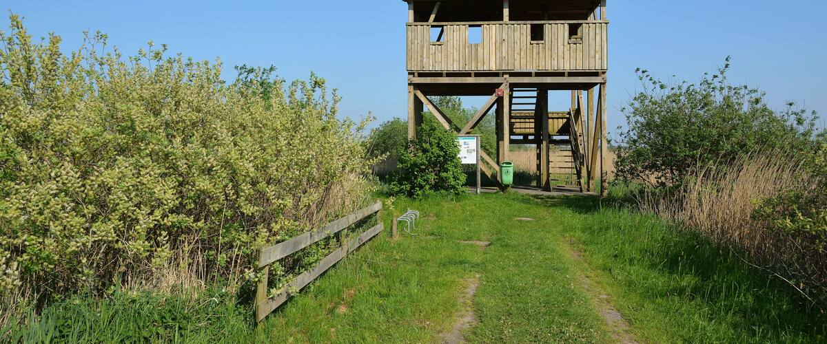 A wooden observation tower with a tiled roof, surrounded by greenery and a clear sky.