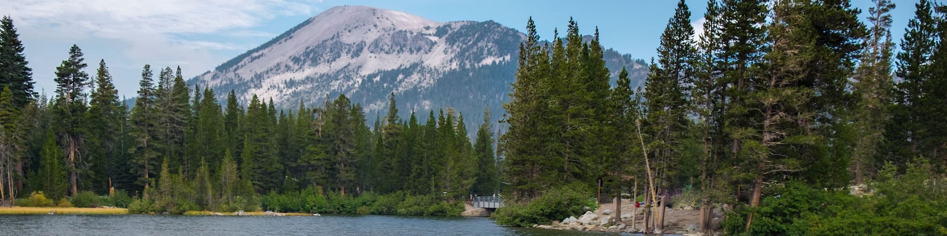 Yellow Rowboats at the Dock on the Lake with Pine Trees