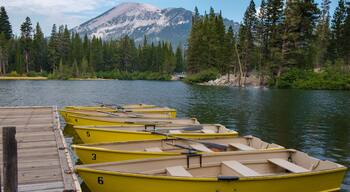 Yellow Rowboats at the Dock on the Lake with Pine Trees