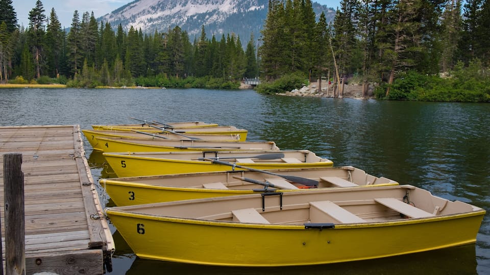 Yellow Rowboats at the Dock on the Lake with Pine Trees