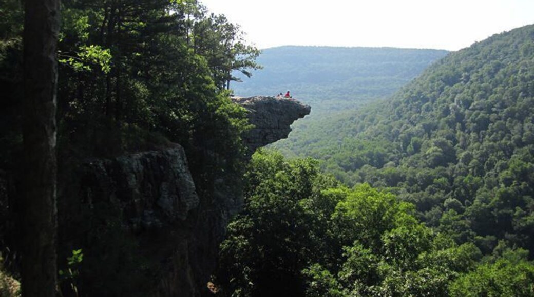 Surreal spot. Easy hike and the best views of the Ozarks.
