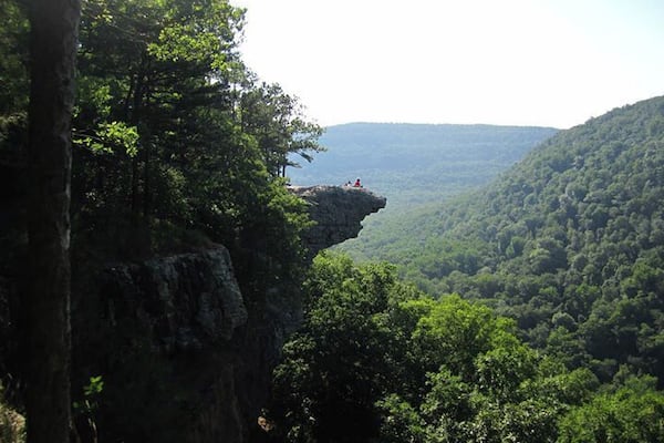 A cliff with a person standing at the edge, surrounded by dense forest and hills in the background.