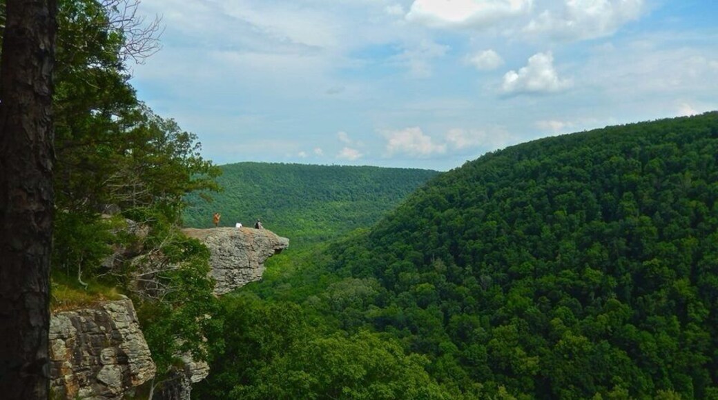 Whitaker's Point, the most photographed place in Arkansas. Beautiful place!