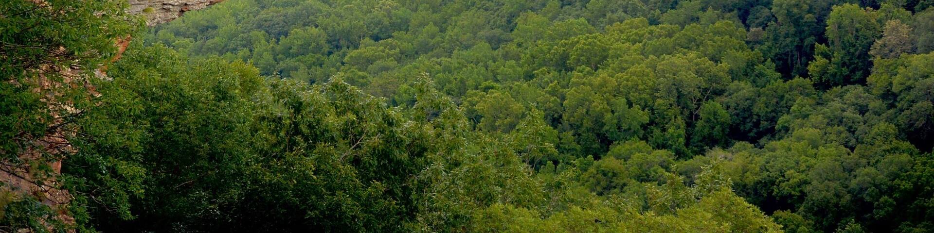 Whitaker Point in Ozark National Forest, Arkansas 07-03-2017