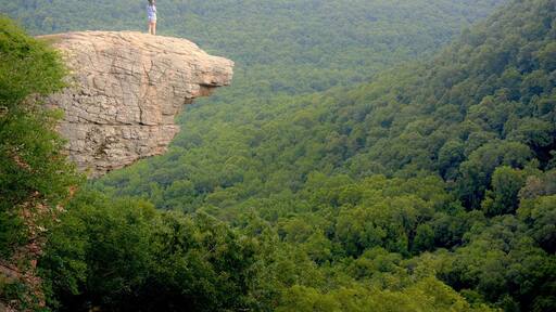 Whitaker Point in Ozark National Forest, Arkansas 07-03-2017