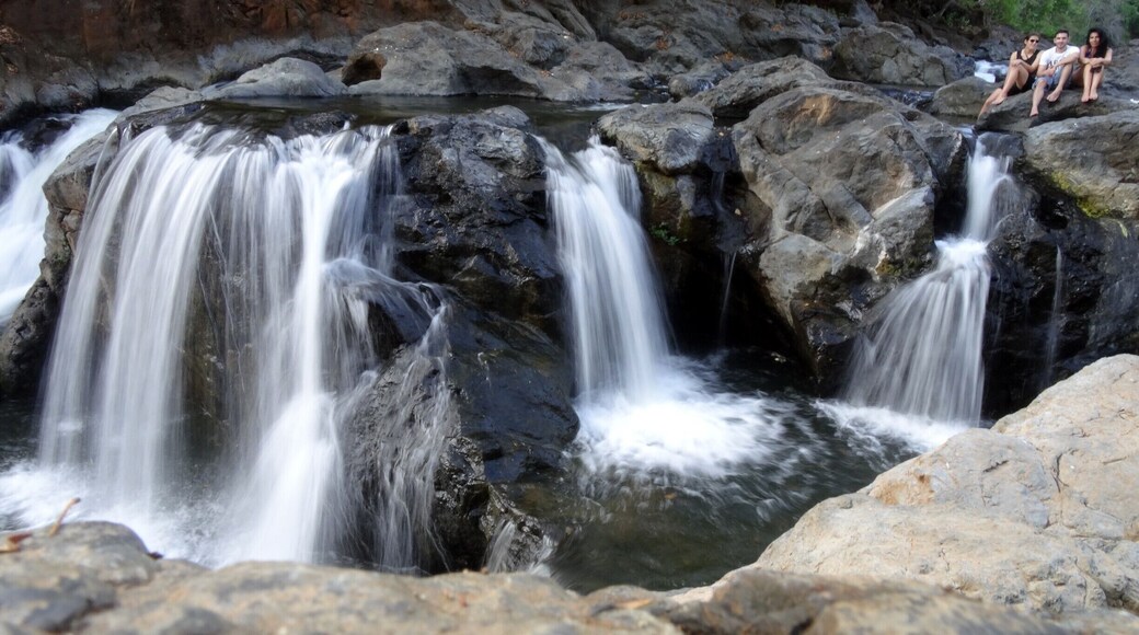 Nice, small water falls in the center of the way from Nicoya and Samara, 1/2 mile of the main road. You defiantly need to enter the GPS coordinates in order to find this hidden gem or use the map assigned to this picture.