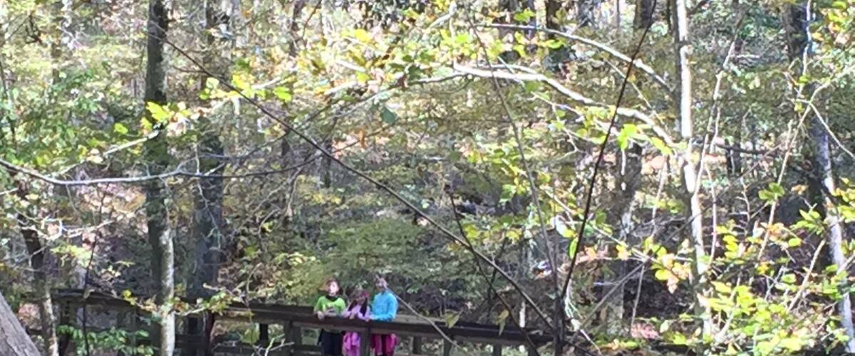 A wooden bridge in a forest with people standing on it.