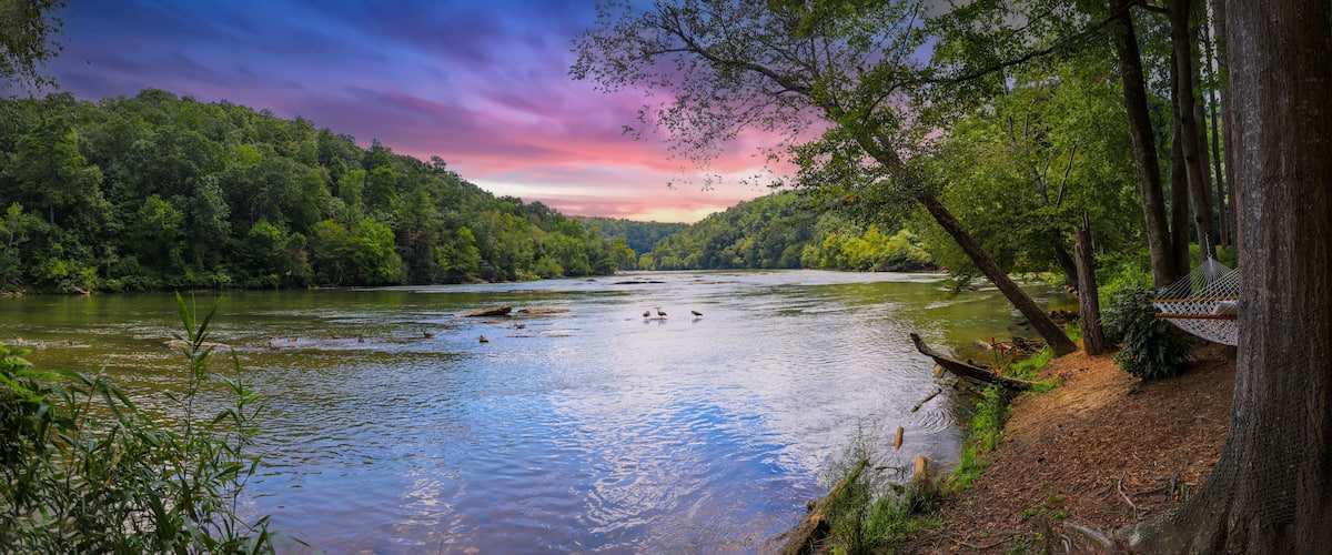 A river surrounded by dense forest, with a hammock and a bench on the right bank.