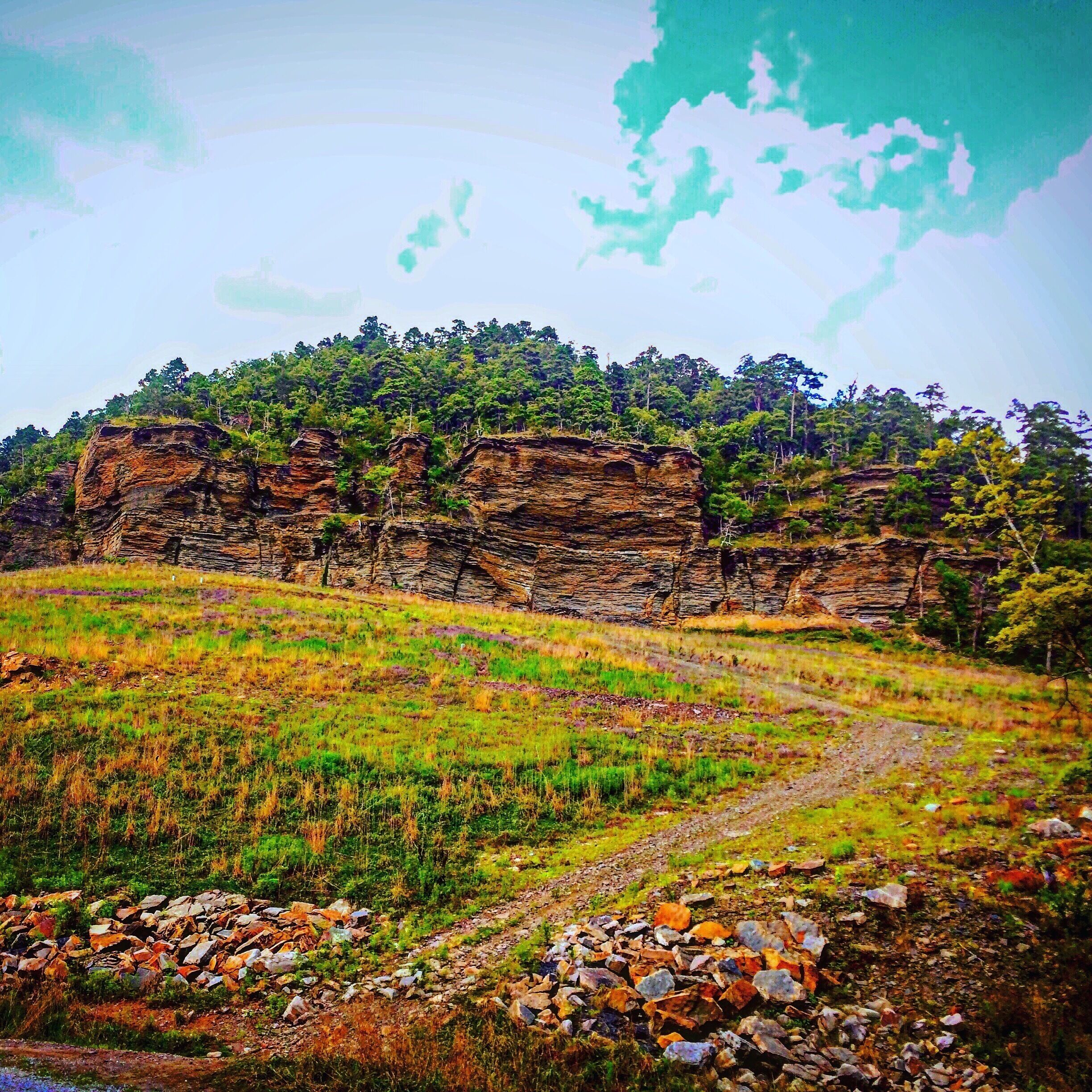 A rocky hillside with a dirt path leading up to a forested area.