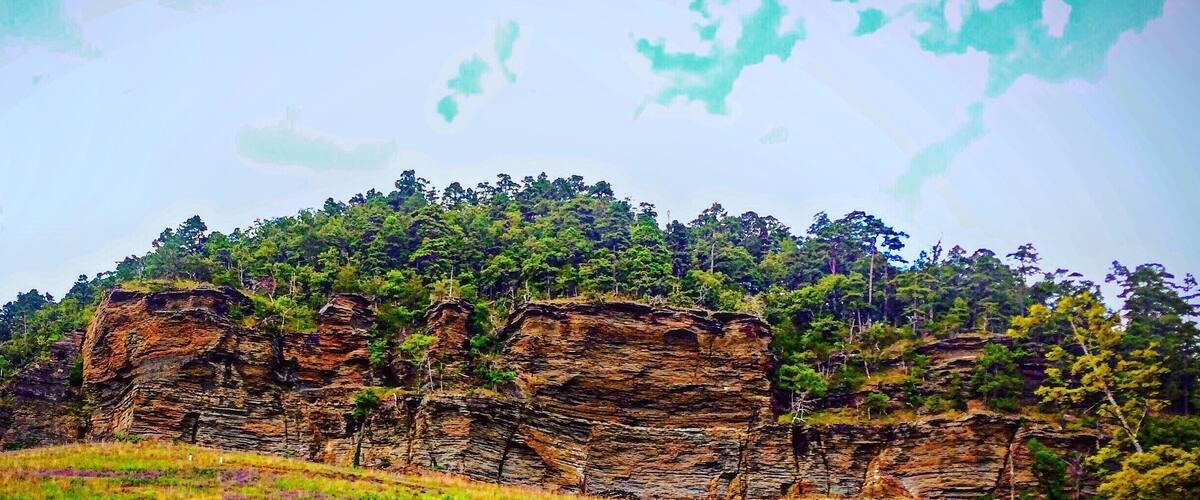 A rocky hillside with a dirt path leading up to a forested area.