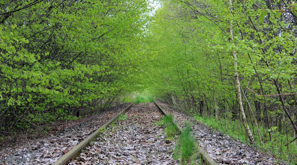 Železniska čara Budyšin–Wjelećin blisko Rozwodec.