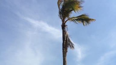 Find a place where your heart can grow honest. Find a person that can help you feel peaceful, wise and that can bring out the best in you.