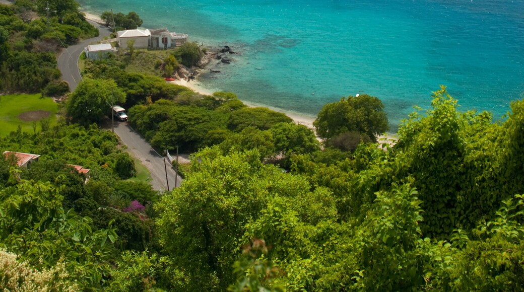 Estate South Grapetree Bay