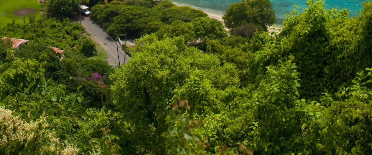 A coastal landscape with turquoise waters, boats, and lush greenery.