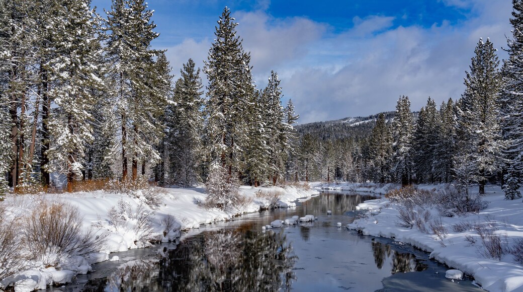 middle fork feather river