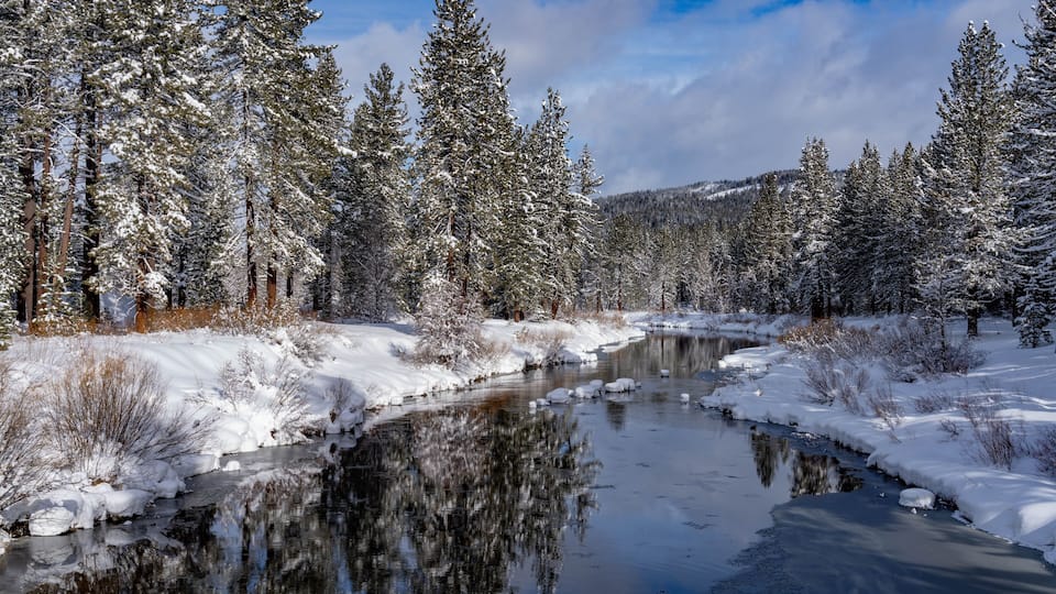 A snow-covered river with reflections of trees and a clear sky.
