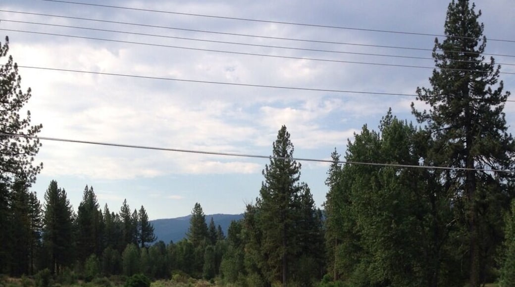 This is the view of the Feather River from the bridge on the Blairsden-Graeagle Road.