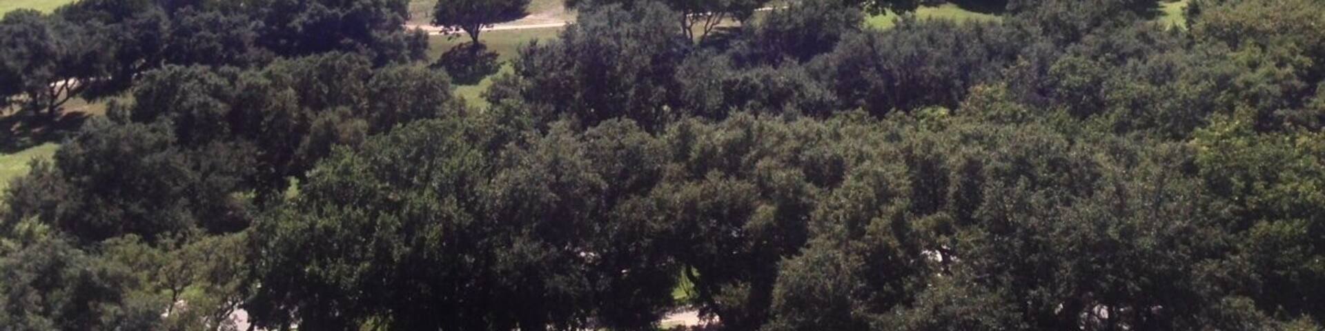 View from resort room