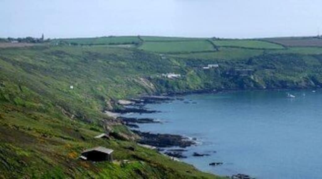 Rame peninsula. This panoramic shot of the Rame peninsula takes in its sweep from Rame Church (far left at SX426491) to the chapel on Rame Head (the little square, far right at SX418483 ). Between these but nearer the latter can just be made out the mast of the Coast Guard station (at SX420487). Nearer sea-level the buildings clustered towards the left are at Polhawn, with Polhawn Fort, dating from Napoleonic times, the rightmost of these. A clutch of boats can be seen dotting the sea near the coves (Polhawn, Crane and Long) of this coast. The photo was taken from the coast road - also known as the Military Road - that runs along the top of the cliffs above Whitsand Bay. The actual spot it was taken from is directly above 529712 which lie on the sands due south west, and about 350' (100m) below.