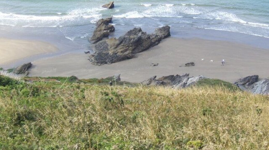 Rocks at the base of Freathy Cliff A nice morning for walking the dogs along the beach.