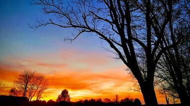 Beautiful fall sunset. #trovember