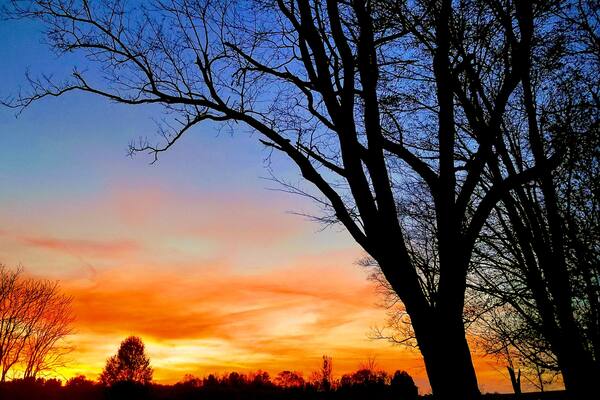 Beautiful fall sunset. #trovember