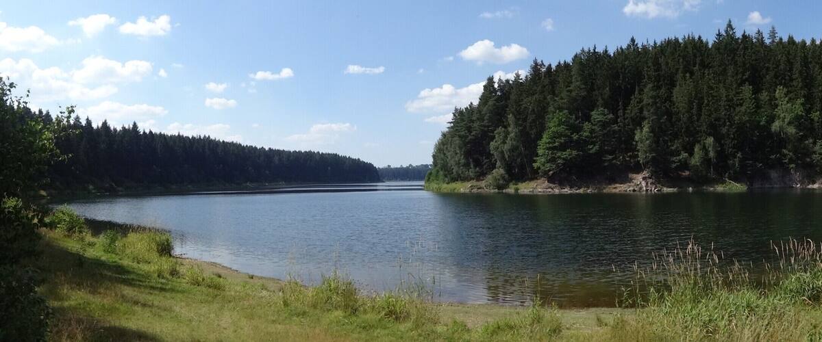 A calm river winding through a dense forest.