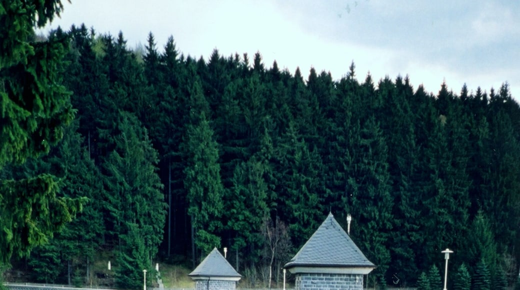 Talsperre Neunzehnhain II