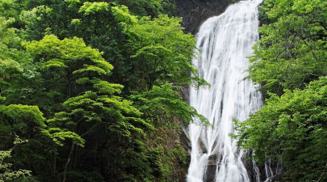 丸神の滝 / Marugami-no-taki waterfall