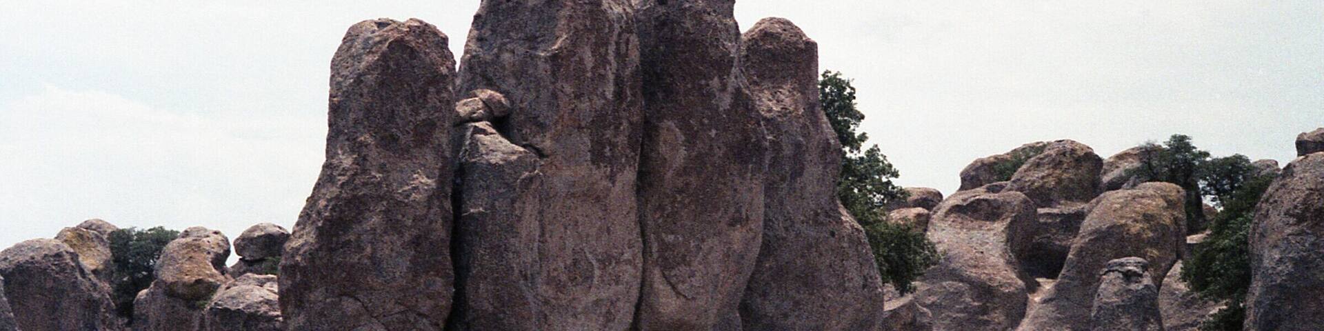 Way back in the 1980s, we went to visit a friend in New Mexico, and went to the City of Rocks State Park. This is a picnic area in the park.