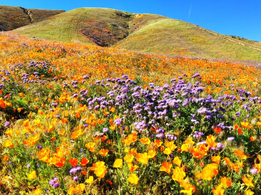 Munz Road overlooking Lake Elizabeth
