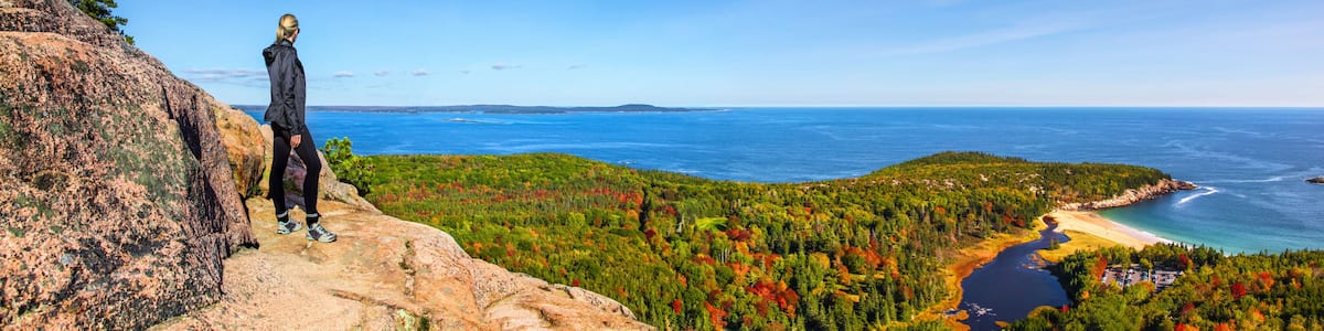 A person standing on a rocky cliff overlooking a coastal landscape with autumn foliage and a beach.
