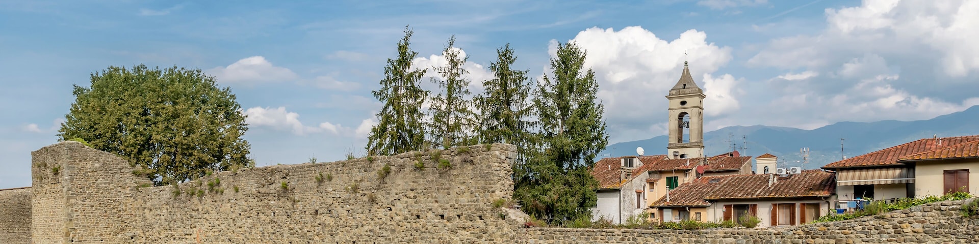 A stone wall with a tower, trees, and houses in the background.