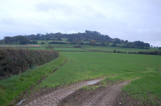 Meon Hill from Upper Quinton Site of unsolved murder of Charles Walton on 14 February 1945.