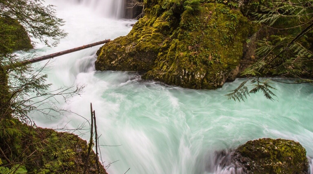 Spirit Falls- where everyone wants to go but few actually get too.
Full disclosure - I believe the hike to this falls is closed. It was originally on private property but kayakers found it (you can see why, can you say paradise?) and people started hiking to it. There is two trails, a safe trail and a very sketchy trail. You got down about 300 ft in elevation while switching over small streams that run to the falls. The hike is only about a mile each way. I would contact local forest service before attempting this hike. You don't want to be caught trespassing. More photos available at www.centioliphotography.com