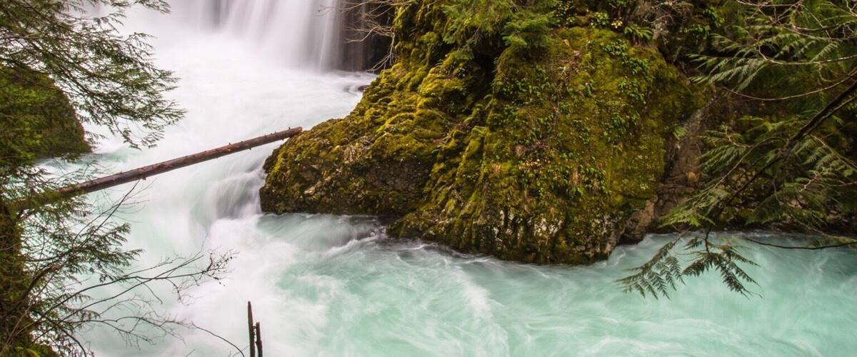 A forested area with a flowing river and a waterfall.