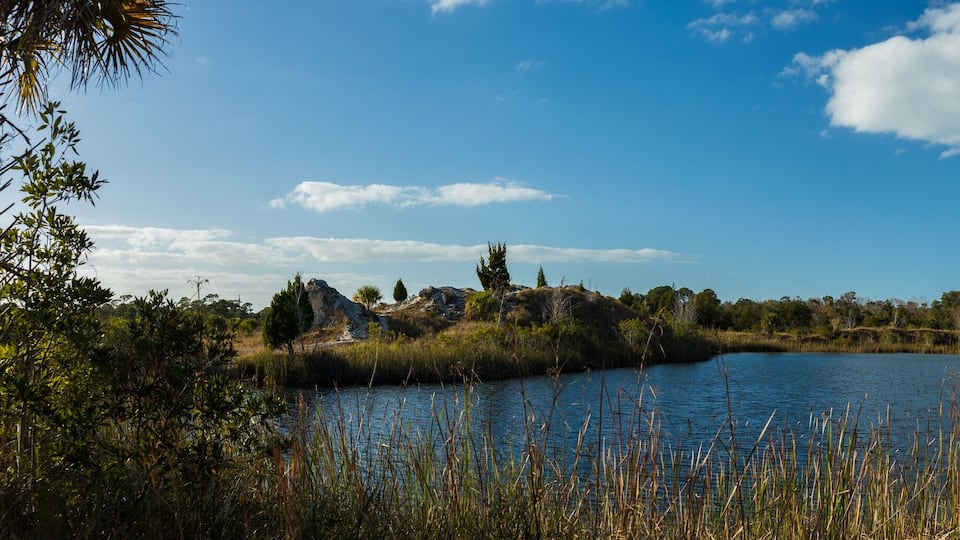 Un llac envoltat d'arbres i herba.