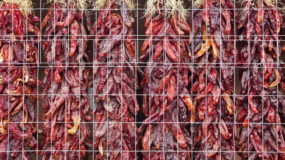 A grid of dried chili peppers hanging in a drying rack.