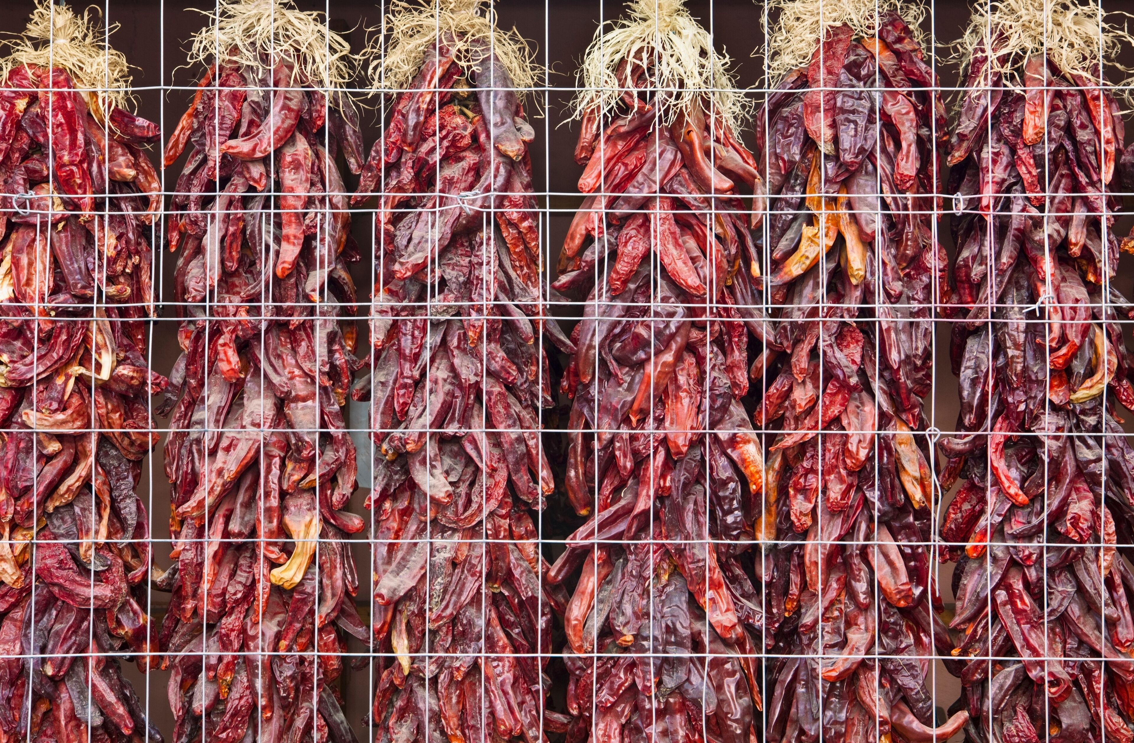 A grid of dried chili peppers hanging in a drying rack.