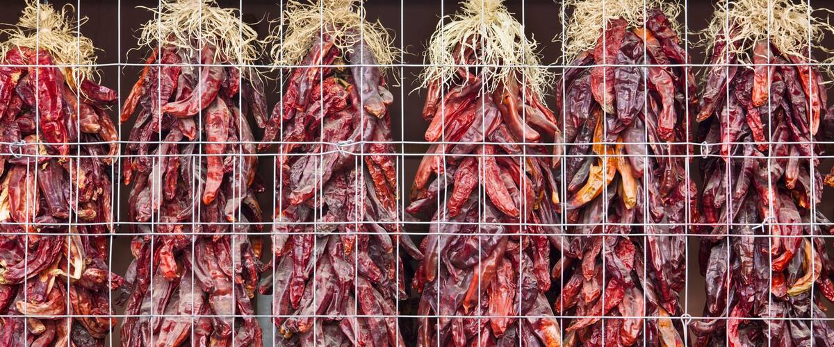A grid of dried chili peppers hanging in a drying rack.