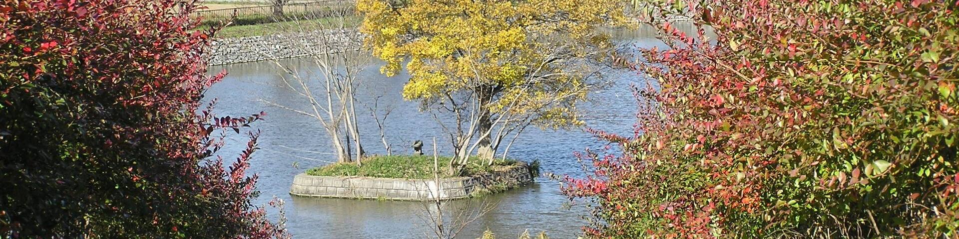 皇太子殿下御野立からの眺め