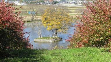 çć€ȘćæźżäžćŸĄéç«ăăăźçșă