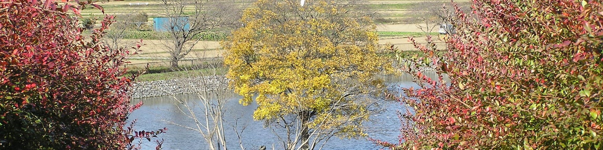 皇太子殿下御野立からの眺め