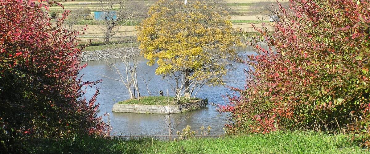 A river with a small island, surrounded by autumn-colored trees and a distant mountain range.