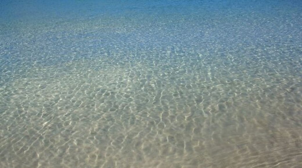 Crystal Clear Water at Magen's Bay Beach - voted one of the most beautiful beaches in the world. Bring your snorkel gear and your camera!
#waterlust #USVI #visitUSVI #St.Thomas #MagensBeach